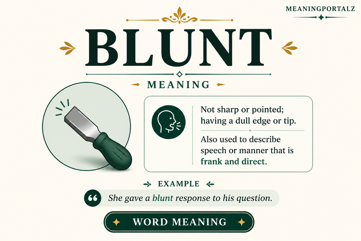 Blunt Meaning